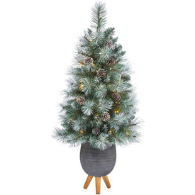 3.5' Pre-Lit Artificial Frosted Tip British Columbia Mountain Pine Christmas Tree with 50 Clear Lights, Pine Cones in Metal Planter in Gray Planter with Stand