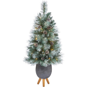 T2275 Holiday/Christmas/Christmas Trees