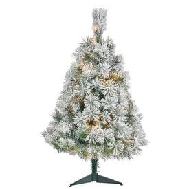 3' Pre-Lit Artificial Flocked Oregon Pine Christmas Tree with 50 Clear Lights