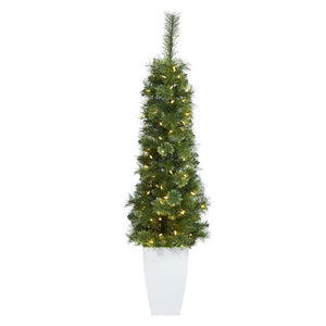 T2245 Holiday/Christmas/Christmas Trees