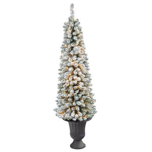 T2433 Holiday/Christmas/Christmas Trees