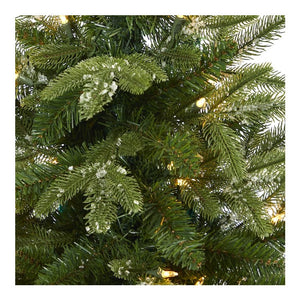 T2248 Holiday/Christmas/Christmas Trees