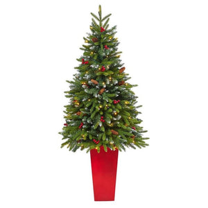 T2311 Holiday/Christmas/Christmas Trees
