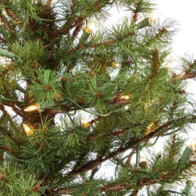 4.5' Pre-Lit Artificial Vancouver Mountain Pine Christmas Tree with 100 Clear Lights in Decorative Planter