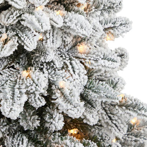 T2281 Holiday/Christmas/Christmas Trees