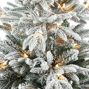 T2436 Holiday/Christmas/Christmas Trees