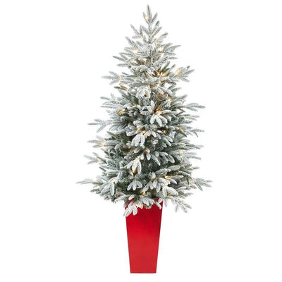 Product Image: T2436 Holiday/Christmas/Christmas Trees