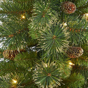 T2283 Holiday/Christmas/Christmas Trees
