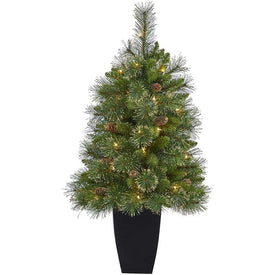 3.5' Pre-Lit Artificial Golden Tip Washington Pine Christmas Tree with 50 Clear Lights, Pine Cones in Black Metal Planter