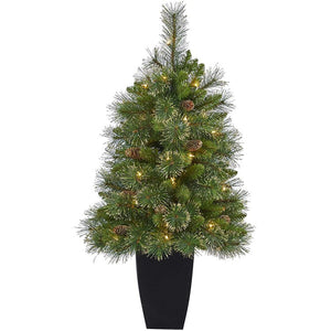 T2283 Holiday/Christmas/Christmas Trees