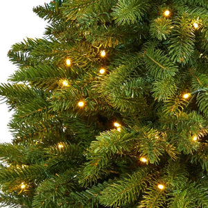 T2253 Holiday/Christmas/Christmas Trees