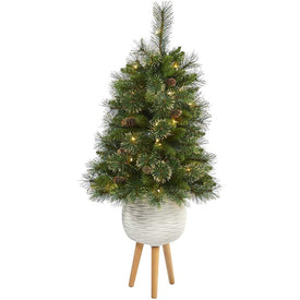 4' Pre-Lit Artificial Golden Tip Washington Pine Christmas Tree with 50 Clear Lights, Pine Cones in White Planter with Stand