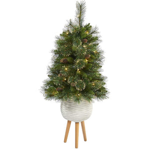 T2284 Holiday/Christmas/Christmas Trees