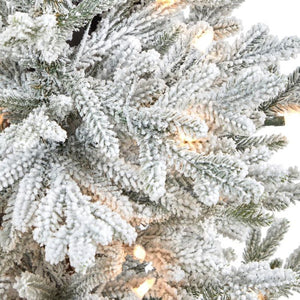 T2316 Holiday/Christmas/Christmas Trees