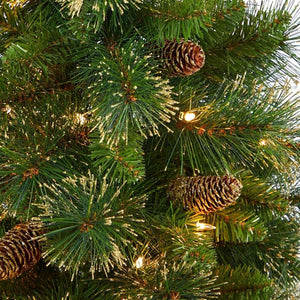 T2285 Holiday/Christmas/Christmas Trees