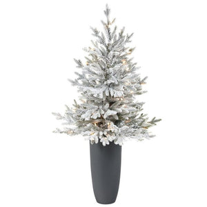 T2317 Holiday/Christmas/Christmas Trees