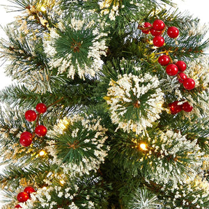 T2255 Holiday/Christmas/Christmas Trees