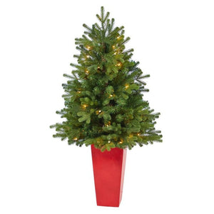 T2303-RD Holiday/Christmas/Christmas Trees