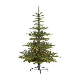 6' Pre-Lit Artificial Layered Washington Spruce Christmas Tree with 350 Clear Lights