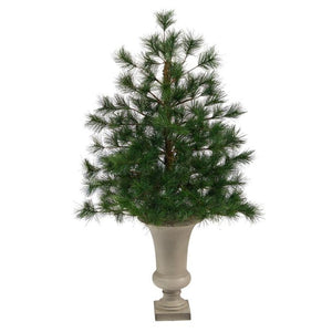 T2348 Holiday/Christmas/Christmas Trees