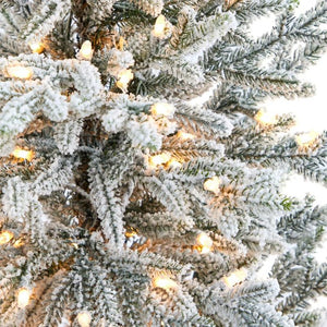 T2318 Holiday/Christmas/Christmas Trees
