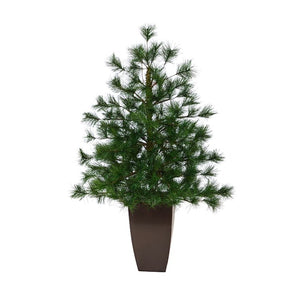T2350 Holiday/Christmas/Christmas Trees