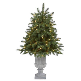 3.5' Pre-Lit Artificial South Carolina Spruce Christmas Tree with 100 White Warm Light in Decorative Urn