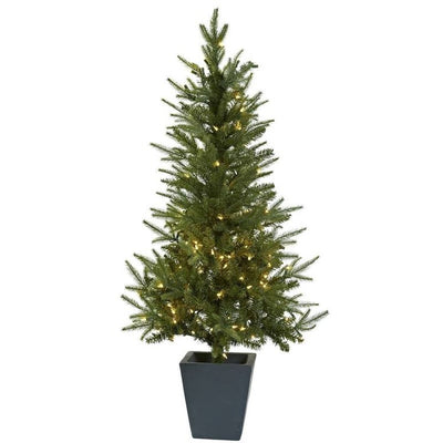 5443 Holiday/Christmas/Christmas Trees