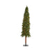T1948 Holiday/Christmas/Christmas Trees