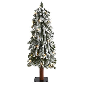 T1950 Holiday/Christmas/Christmas Trees
