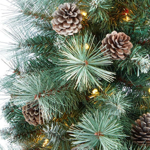 T2260 Holiday/Christmas/Christmas Trees