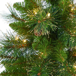 T2292 Holiday/Christmas/Christmas Trees