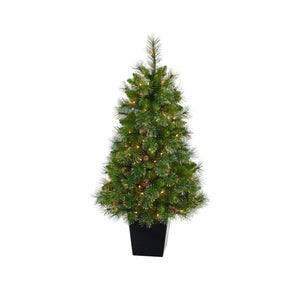 T2292 Holiday/Christmas/Christmas Trees