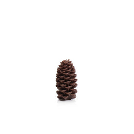 Small Pine Cone Brown Candles Set of 4