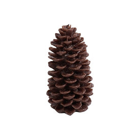 Medium Pine Cone Brown Candles Set of 4