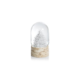 Sculptured White Tree Snow Globe on Birch