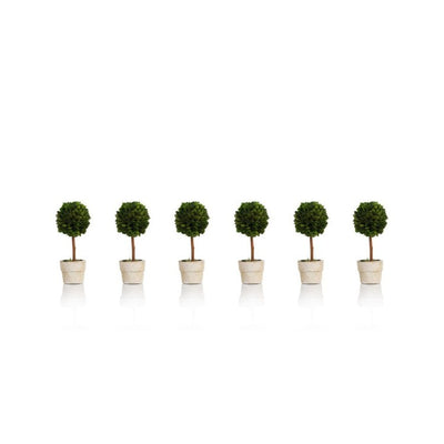 Product Image: CH-1829 Decor/Faux Florals/Plants & Trees
