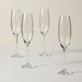 6099840 Dining & Entertaining/Barware/Champagne Barware