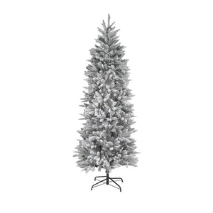 WHAP995 Holiday/Christmas/Christmas Trees