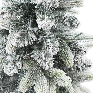 WHAP689 Holiday/Christmas/Christmas Trees