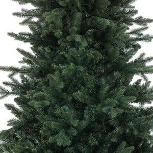 WHHD1507 Holiday/Christmas/Christmas Trees