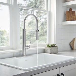 7612350.075 Kitchen/Kitchen Faucets/Pull Down Spray Faucets