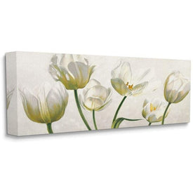 Soft White Blooming Tulip Petals Floral Details 20"x48" XXL Stretched Canvas Wall Art