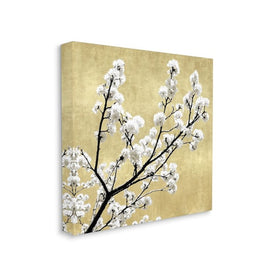 Top of Cherry Blossom Tree Over Neutral Tan 36"x36" XXL Stretched Canvas Wall Art