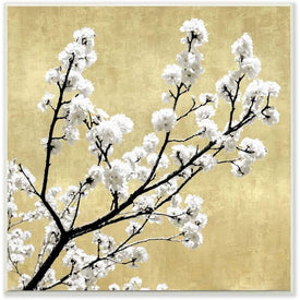 Top of Cherry Blossom Tree Over Neutral Tan 12"x12" Wall Plaque Art