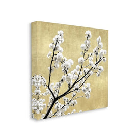 Top of Cherry Blossom Tree Over Neutral Tan 17"x17" Stretched Canvas Wall Art