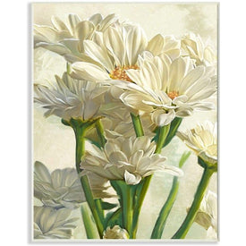 Study of White Daisy Petals Spring Florals 10"x15" Wall Plaque Art