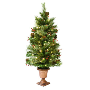 194061502518 Holiday/Christmas/Christmas Trees