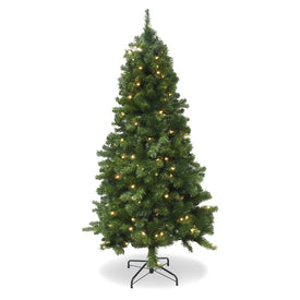 6' Pre-Lit Artificial Douglas Fir Christmas Tree with Stand