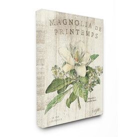 French Magnolias In Spring 16"x20" Stretched Canvas Wall Art
